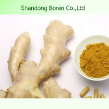 Chinese New Crop Fresh Ginger for Sale